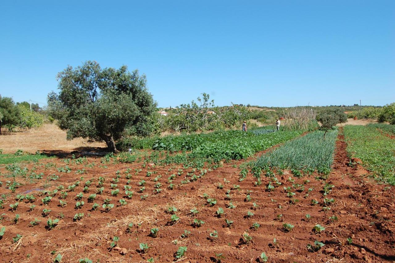 فيلا Quinta Do Maranhao لاغوس المظهر الخارجي الصورة
